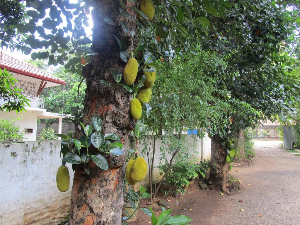 Hotel Shalini Anuradhapura Ngoại thất bức ảnh